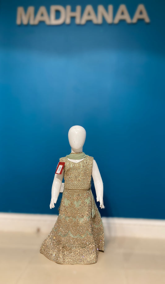 Sunehripari in mint green 1-4 yrs KMO002C8